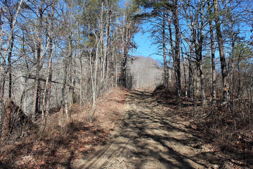 023 the old road leading up the hill behind the home