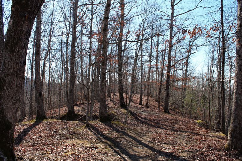 004 forested hardwood point looking out over the valley to the south