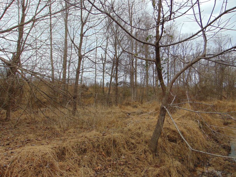 DSC00277