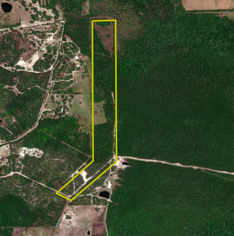 Screen Shot 2022-02-21 at 10.31.12 AM