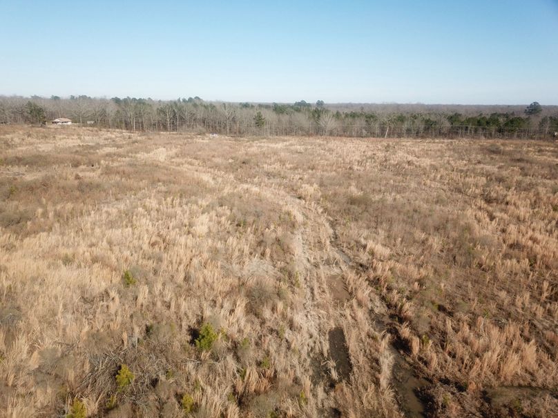 DJI_0063