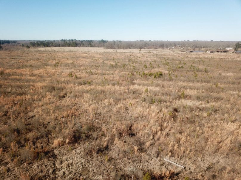 DJI_0061
