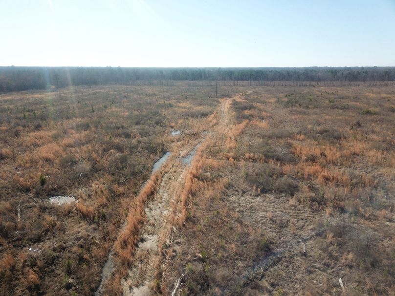 DJI_0059