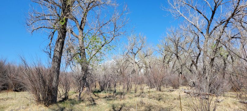 Copy of 20210505_145829