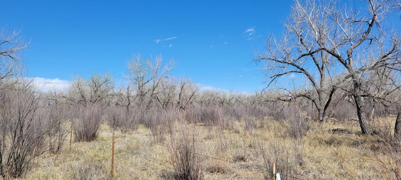 Copy of 20210505_151349