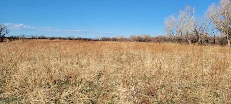 Copy of 20210505_180516