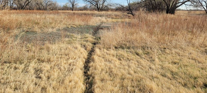 Copy of 20210505_180441