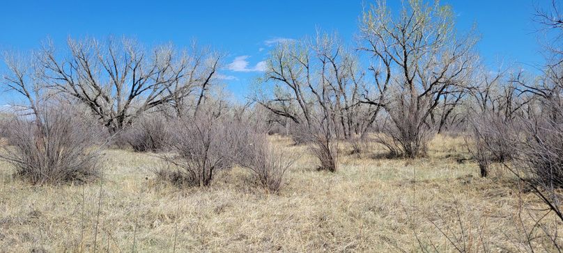 Copy of 20210505_152129