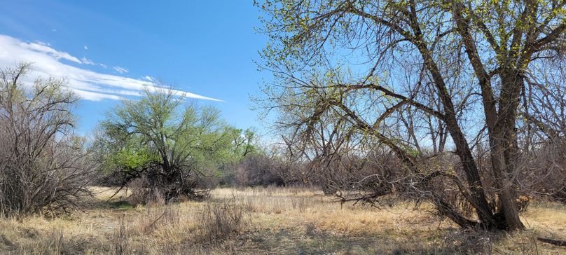 Copy of 20210505_161331