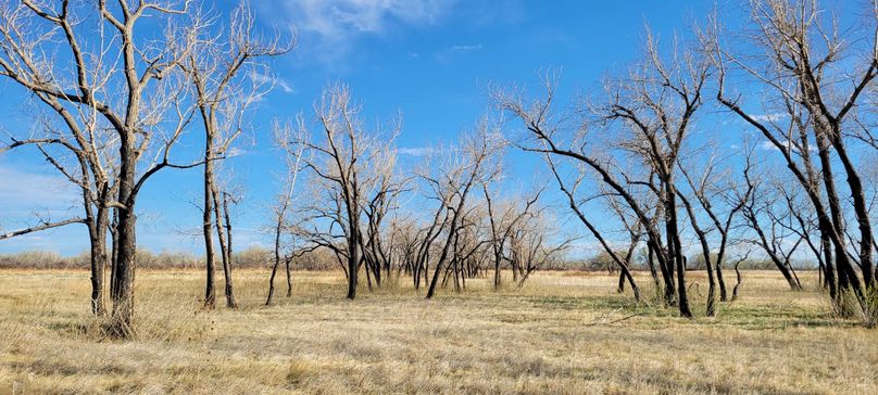 Copy of 20210505_174411