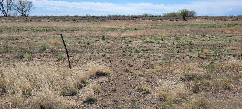 Copy of 20210505_155953