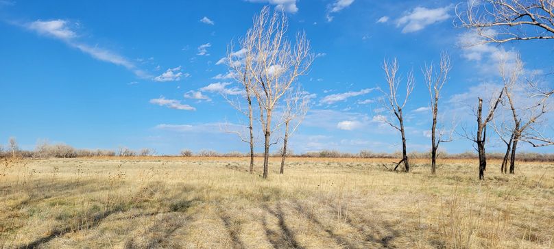 Copy of 20210505_174415