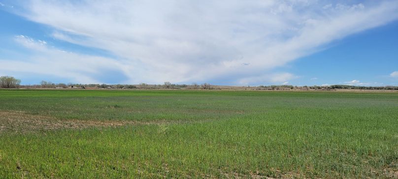 Copy of 20210505_155617