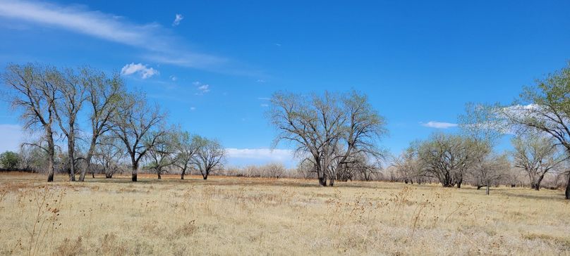 Copy of 20210505_155114