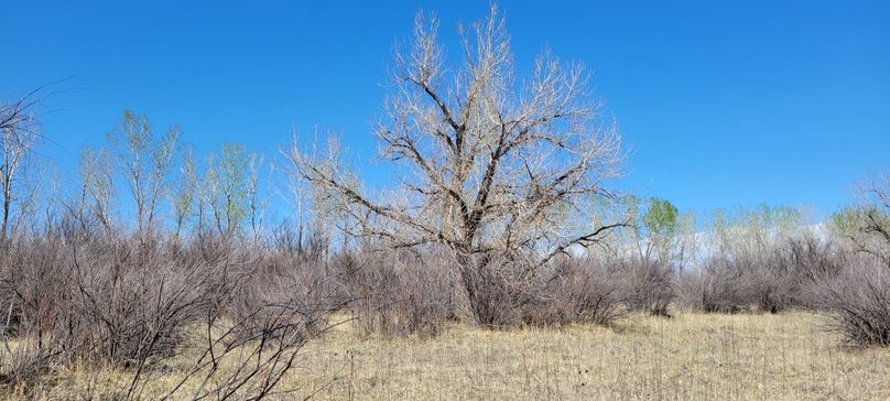 Copy of 20210505_152133