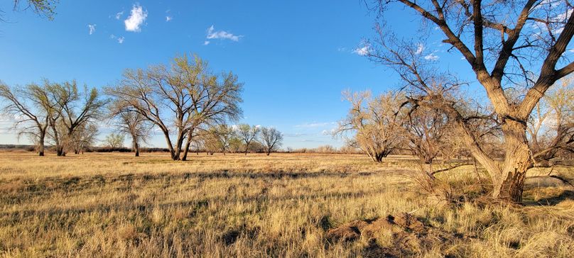 Copy of 20210505_191034