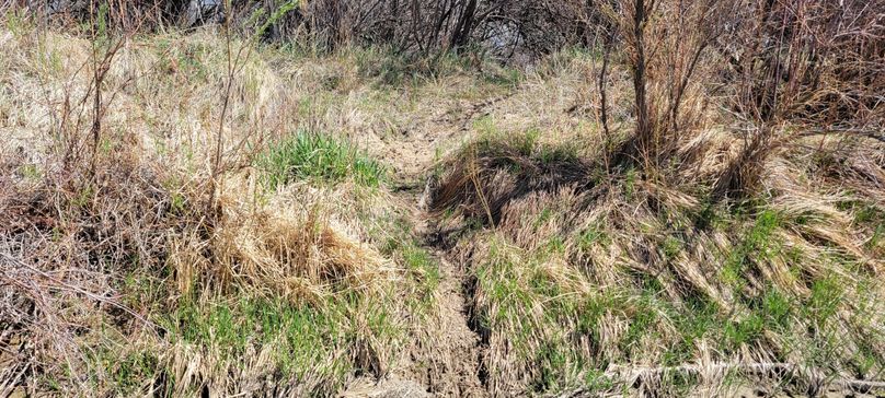 Copy of 20210505_145557