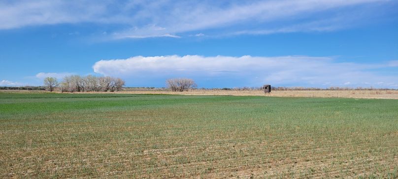 Copy of 20210505_155516