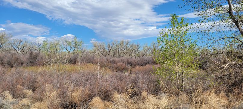 Copy of 20210505_160148