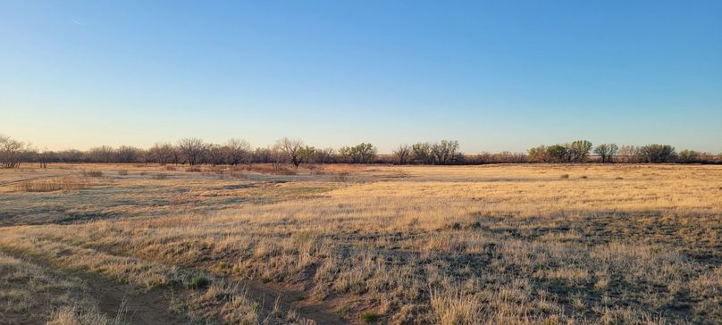 Copy of 20210506_061621