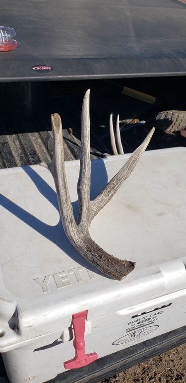 Copy of 20210318_154912