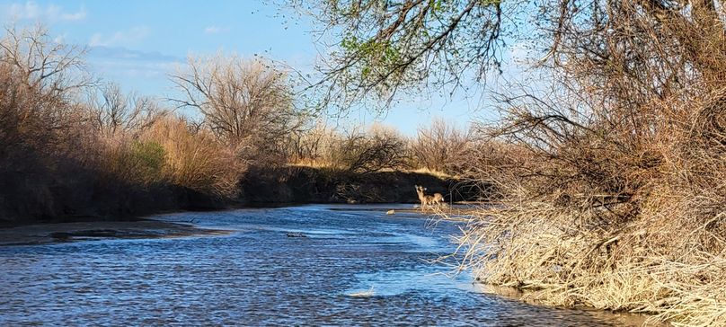 Copy of 20210505_182928