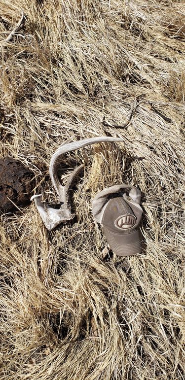 Copy of 20210318_122636