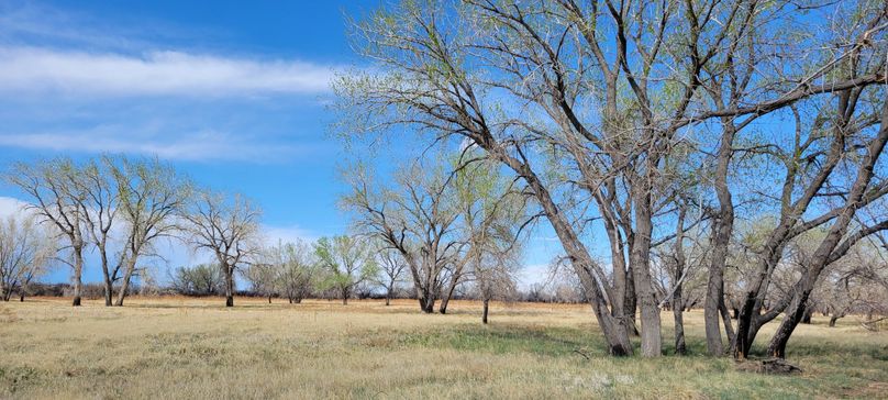 Copy of 20210505_155030