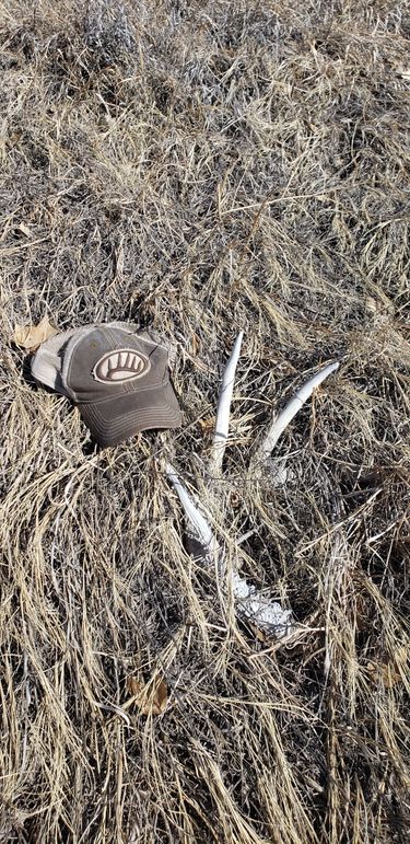 Copy of 20210318_114611