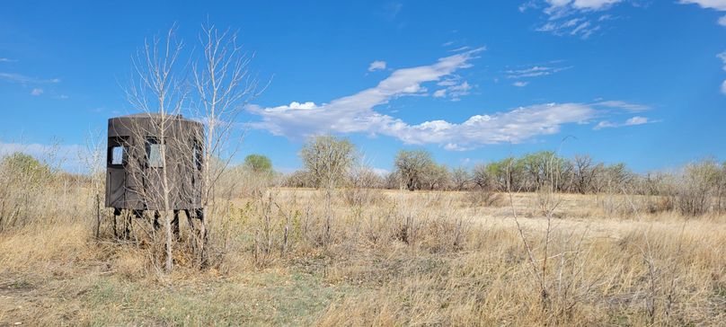 Copy of 20210505_155412