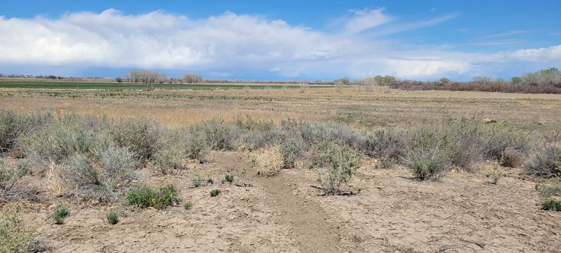 Copy of 20210505_144709