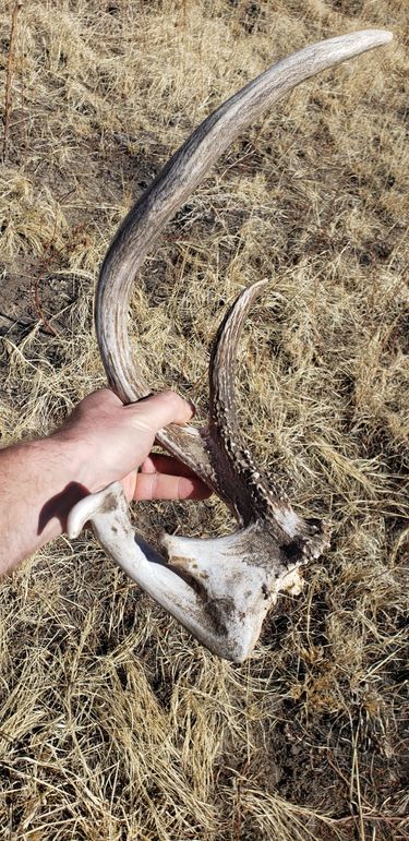 Copy of 20210318_122727