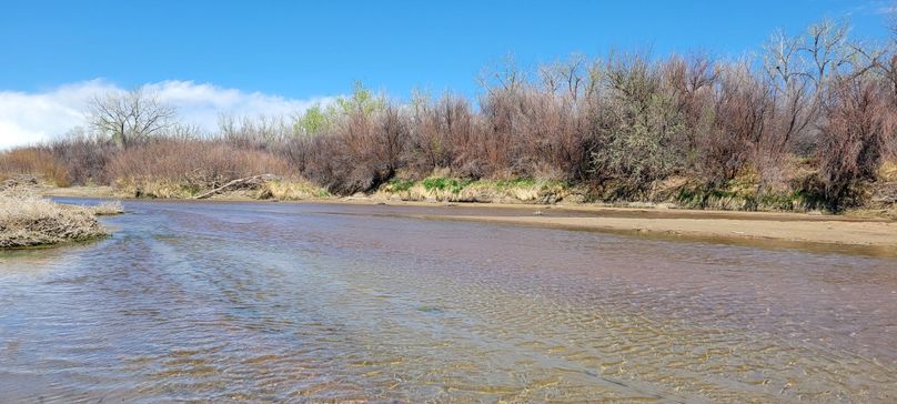 Copy of 20210505_145251