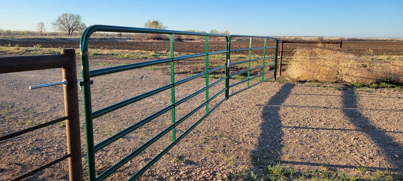 Copy of 20210506_063606