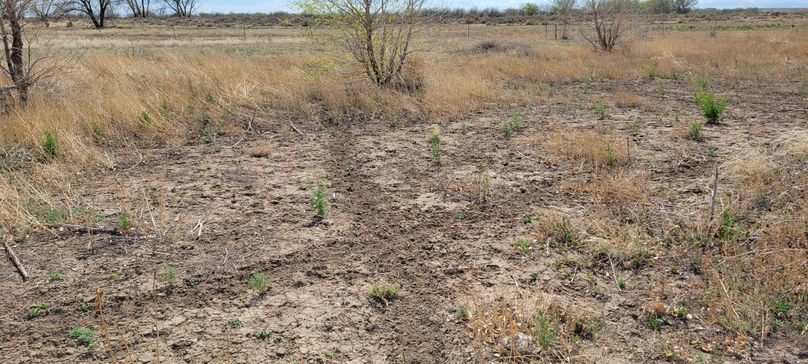 Copy of 20210505_155920