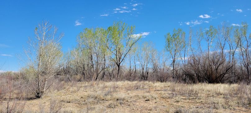 Copy of 20210505_152823