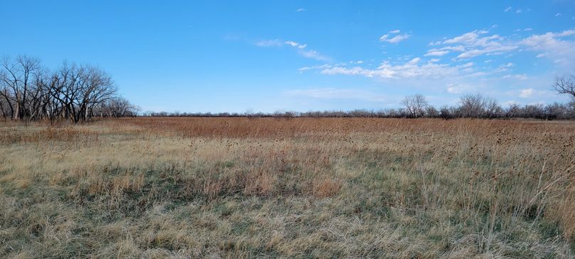 Copy of 20210505_175506