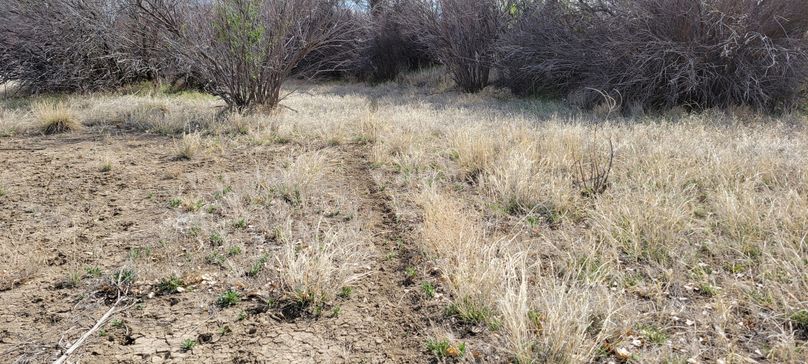 Copy of 20210505_161426