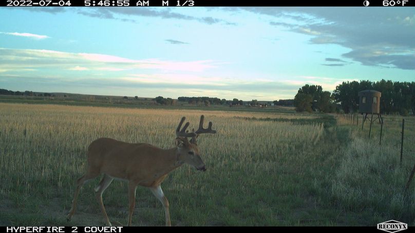 RCNX0544_39782529417375