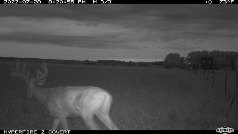 RCNX0045_82811115146116