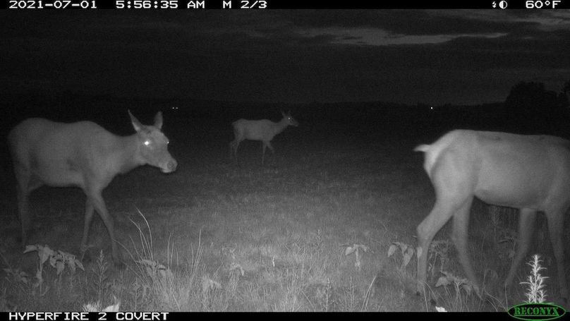 Copy of IMG950795(1)