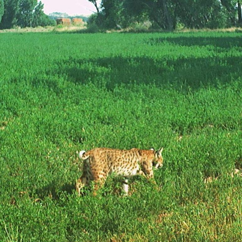 D23BAE07-A22C-4A56-BB0B-81565A3113B2