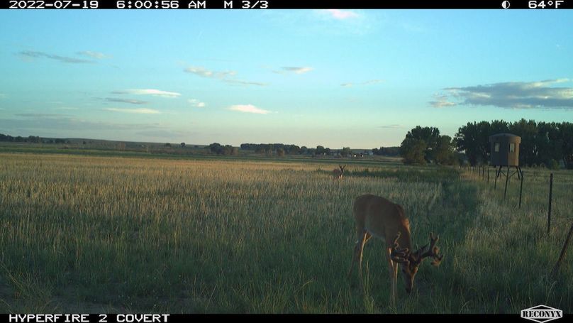 RCNX1053_386232021404849