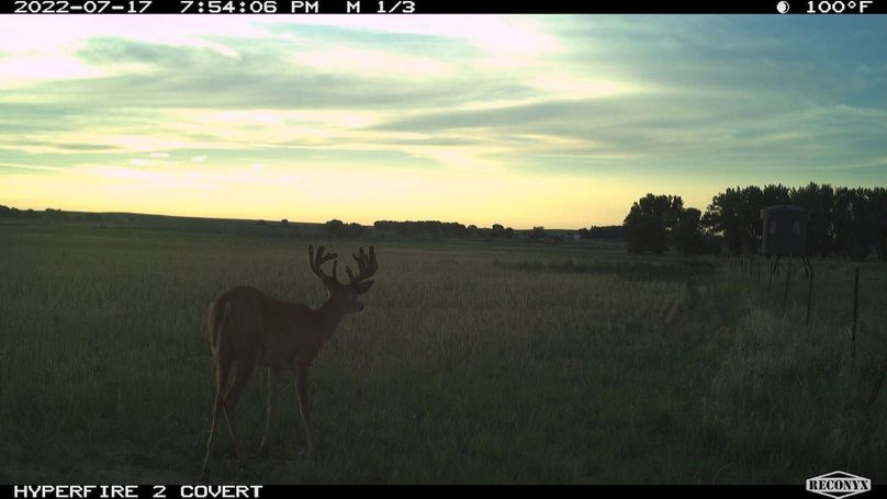 RCNX1026_321215523380641