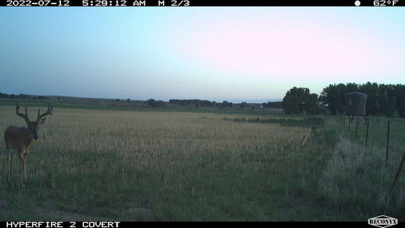 RCNX0901_79239180832114