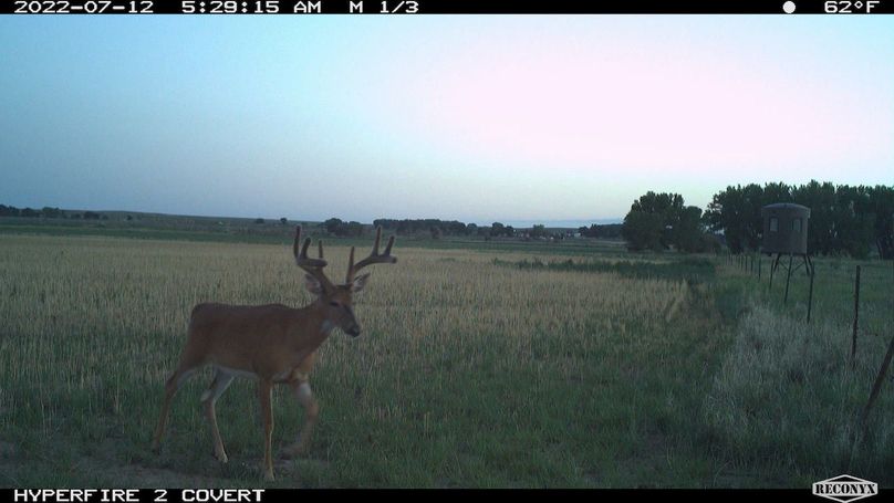 RCNX0903_79217783315560(1)