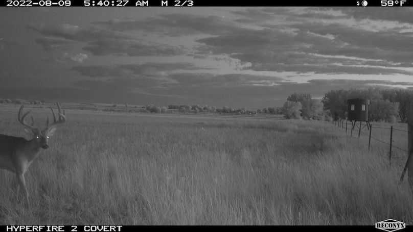 RCNX0574_38933955521031