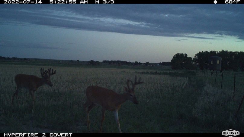 RCNX0967_321250516928179