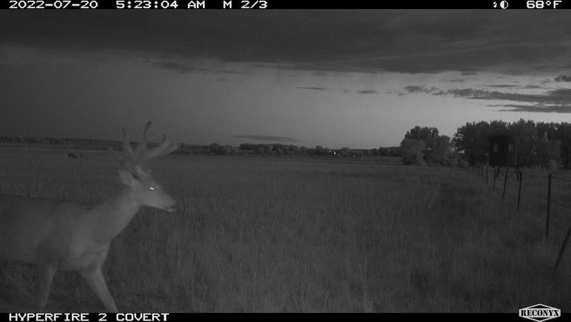 RCNX1152_405602902118240