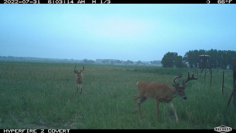 RCNX0276_82901755323686